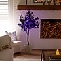 Nearly Natural Pre-Lit Artificial Halloween Black Maple Tree, 5' (T5218)~#|#~D723E80C-7104-434D-903DE1A830433419_sc7
