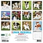 2027 Willow Creek Jack Russell Puppies 12" x 12" Monthly Wall Calendar (60827)~#|#~D72703E1-D59D-483E-BA91537A0B34217A_sc7