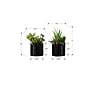 Monarch Specialties Inc. 7" Artificial Succulent Plant in Pot, 2/Set (I 9554)~#|#~D7602817-C8D0-41DF-ACA14AE57403E77C_sc7