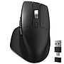 Delton S18 Wireless Ergonomic Optical Mouse, Black (DMS18-WB)~#|#~D76E8252-FFB7-4EF3-A34757D0A9D032C3_sc7