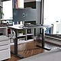 FlexiSpot E2 48''W Electric Adjustable Standing Desk, Black (E2B4824B)~#|#~D77C6894-BCE6-4FCA-B94E709054694C2B_sc7