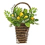 National Tree Company 21" Leafy Greens and Lemons Wall Basket (DS69-Y21G5588-1)~#|#~D78A9595-8B62-4F0B-963B3A84B2311D41_sc7