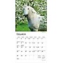 2026 BrownTrout Horse Lovers 7" x 7" Monthly Wall Calendar (9798330703708)~#|#~D790BCE8-7D24-4820-AFFD18354CFE2D21_sc7