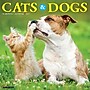 2027 Willow Creek Cats & Dogs 12" x 12" Monthly Wall Calendar, Assorted Colors (59579)~#|#~D796F034-79F9-49A7-9417803266074003_sc7