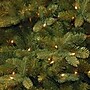 National Tree Company 6.5 ft. Pre-Lit Downswept Douglas Fir Artificial Christmas Tree with Color LED Lights (PEDD4-372D-160)~#|#~D79D2C7E-BFF2-464D-9401442EC13B9203_sc7
