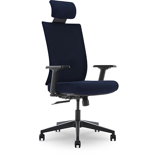 La-Z-Boy Ergonomic Executive Mesh Office Chair with Adjustable Headrest and Lumbar  Support Navy 51489-NVY - Best Buy