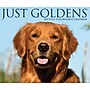 2027 Willow Creek Goldens 5.4" x 6.2" Day-to-Day Calendar (63491)~#|#~D7C204C2-BCAB-404C-B8F0C259D32A5394_sc7