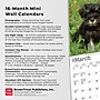 2026 BrownTrout Schnauzer Puppies 7" x 7" Monthly Wall Calendar (9798330705436)~#|#~D7C32BA0-F3D1-4137-9E0D129651415ECA_sc7