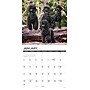 2027 Willow Creek Poodles 12" x 12" Monthly Wall Calendar, Assorted Colors (62647)~#|#~D7C74D36-C35E-498D-B1FF9D9AF8B2AB60_sc7