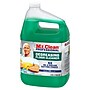 Mr. Clean Professional Degreasing Floor Cleaner, Clean Scent, 1 Gallon (19858)~#|#~D7C989DE-9118-496A-A3A14D1F7741C9CF_sc7