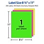 Avery Laser Shipping Labels, 8-1/2" x 11", Assorted Neon, 15 Labels/Pack (5975)~#|#~D7EF2227-51EA-4661-82C2F3805607B25E_sc7