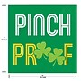 Say Hooray! Irish Wishes St. Patrick’s Day Tableware Kit, Mulitcolored, 49/Pack (DTC9625E2A)~#|#~D7F0BE1C-C396-4DF9-AE632BEA395B1012_sc7