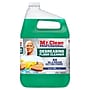 Mr. Clean Professional Degreasing Floor Cleaning Liquid, 1 Gallon (19858)~#|#~D7F9DF79-65A1-40D7-AD9191ABD790181A_sc7