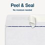 Adams 2025 1099 Tax Envelopes, 3-Up Format, Double-Window, Security Tinted, Peel & Seal, White, 25/Pack (STAX3-25)~#|#~D804A908-57A9-4A1D-8CB5829A3E4CEBAA_sc7