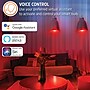 Energizer Connect Wi-Fi 60W Equivalent LED Smart Bulb, Multi-White & Multicolor, 2-Pack (EAC2-1003-RGB)~#|#~D81513EA-E9FD-4C8B-B6CF791987D1DEE7_sc7