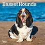 2027 BrownTrout Basset Hounds 7" x 7" Monthly Wall Calendar, Assorted Colors (9798330714094)~#|#~D8326A05-B5D7-4A53-AAEEC0D8E5795FB4_sc7