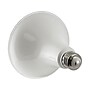 Viribright 12-Watts Cool White LED Floodlight Bulb, 4/Box (450160-ES)~#|#~D8434E99-BD61-4EE7-9C6B53B654FE1D6B_sc7
