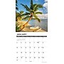 2027 Willow Creek Tropical Islands 12" x 12" Monthly Wall Calendar, Assorted Colors (62685)~#|#~D8505A2E-8926-4B6C-98510D4918D74040_sc7