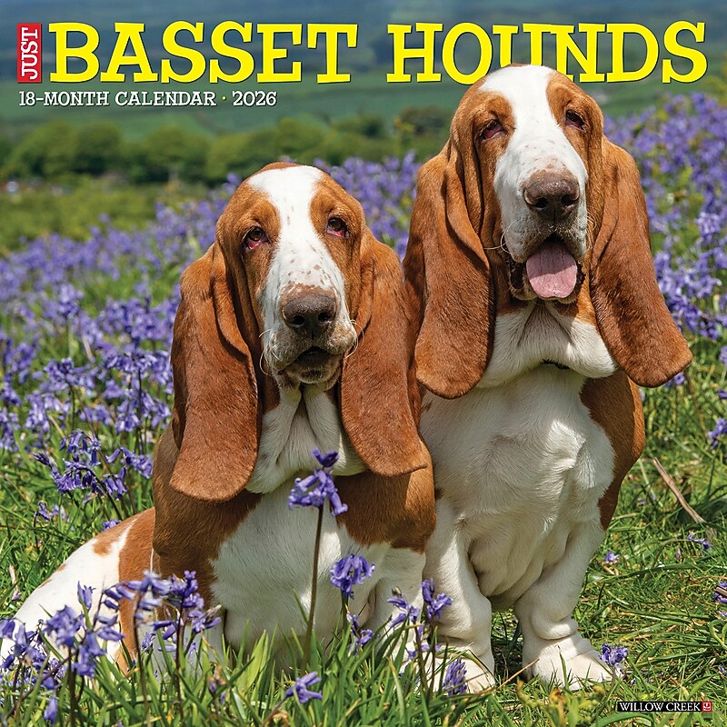 2026 Willow Creek Basset Hounds 12" x 12" Monthly Wall Calendar (50095) image 1