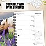 2026 Willow Creek What Horses Teach Us 6.5" x 8.5" Daily & Monthly Personal Organizer (54697)~#|#~D85FC2C9-0FA7-456D-84D52F5135370E03_sc7
