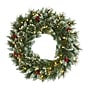 Nearly Natural 24-in Frosted Swiss Pine Artificial Wreath with 35 Clear LED Lights and Berries (W1113)~#|#~D87B88A9-3D40-4916-896AC3384F0A86BE_sc7