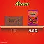 Reese's Hearts & Miniatures Peanut Butter Milk Chocolate Candy Bag, 21.49 oz. (HEC45585)~#|#~D87C286B-71C4-43E5-BC00F8C4EFFA8D17_sc7