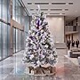 Safavieh 5.5 ft. Pre-Lit Frosted Green Artificial Christmas Tree, 200 Lights (FXP2019A)~#|#~D880B52D-4DC5-409C-BEB7E9535D1821E2_sc7
