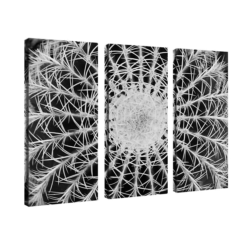 Trademark Fine Art 14" x 32" Canvas Gallery Wrapped Canvas Art, 3/Set image 1