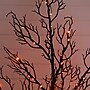 Nearly Natural Pre-Lit Halloween Minimalist Twig Artificial Fall Tree, 4' (T5160)~#|#~D89CEDF3-1134-4349-940B7C152FBA3DB3_sc7