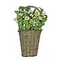 National Tree Company 18" Daisies and Berries Wall Basket (DS69-21G18708-1)~#|#~D8AD76AE-8038-4AD4-B05CC133CB7779AB_sc7