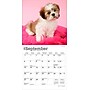 2026 BrownTrout Shih Tzu Puppies 7" x 7" Monthly Wall Calendar (9798330705542)~#|#~D8CF4D1E-D512-4062-8CA9F02F3A044638_sc7
