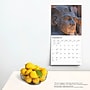2025 BrownTrout Ancient Egypt 12" x 24" Monthly Square Wall Calendar, (9781975478032)~#|#~D8D2FC48-6715-4791-8B37C5DDA3277EA1_sc7