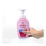 Arau Baby Foam Bottle Wash, Unscented, 16.09 oz., 4/Pack (AFG-4003-CASE)~#|#~D8E3E9BD-D3FE-4B2C-B4798DBAE6460040_sc7