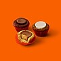 Reese's Miniatures Assorted Flavored Peanut Butter Cups Candy Party Pack, 26.6 oz. (HEC43165)~#|#~D8E7F331-C452-4A23-878905437292F117_sc7