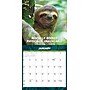 2027 Willow Creek Sloth Mode 12" x 12" Monthly Wall Calendar, Assorted Colors (62371)~#|#~D8E90106-3ADE-49D0-809872EB3E49F035_sc7