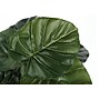 Monarch Specialties Inc. 24" Artificial Alocasia Plant in Pot (I 9578)~#|#~D90D913B-0E1D-4086-B596C3607F48A401_sc7
