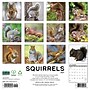 2027 Willow Creek Squirrels 12" x 12" Monthly Wall Calendar, Assorted Colors (62470)~#|#~D92650E1-4022-43B3-90326241040B2CC3_sc7