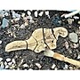 Yellow Door Dig and Discover Triceratops & Spinosaurus, Assorted Colors, 10/Set (YUS1228)~#|#~D94E8AFB-C9F9-49CC-8979F6F87E1B5F32_sc7