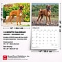 2027 BrownTrout For the Love of Boxers 14" x 12" Monthly Wall Calendar, Assorted Colors (9798330709236)~#|#~D968FD82-93CC-4BF4-85E0C34FEF071EA2_sc7