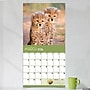 2026 TF Publishing Baby Animals 12" x 12" Monthly Wall Calendar, Multi (26-1000)~#|#~D9788AF7-A873-4DD2-BDD0B70E5BEE1C29_sc7