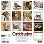 2026 Willow Creek Cattitudes 12" x 12" Monthly Wall Calendar (56738)~#|#~D97F1504-9155-4B0B-B5CA63F1BD721198_sc7