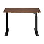 FlexiSpot E7 Commercial 48''W Electric Rectangular Adjustable Standing Desk, Black Walnut/Black (E7BCOM4824-BW)~#|#~D983E362-D0BD-43E6-8E936C18B0B77439_sc7