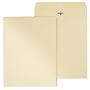 Staples Heavyweight Clasp & Moistenable Glue Catalog Envelopes, 10"L x 13"H, Manila, 100/Box (122069/14207)~#|#~D98982BD-1FCD-4949-924842469CF06D14_sc7
