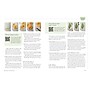 Quarto Learn to Watercolor 20 Step-by-Step Beginner-Friendly Lessons on Watercolor Paper~#|#~D9912B75-2FA4-40FA-8DB7A0765F1AD252_sc7