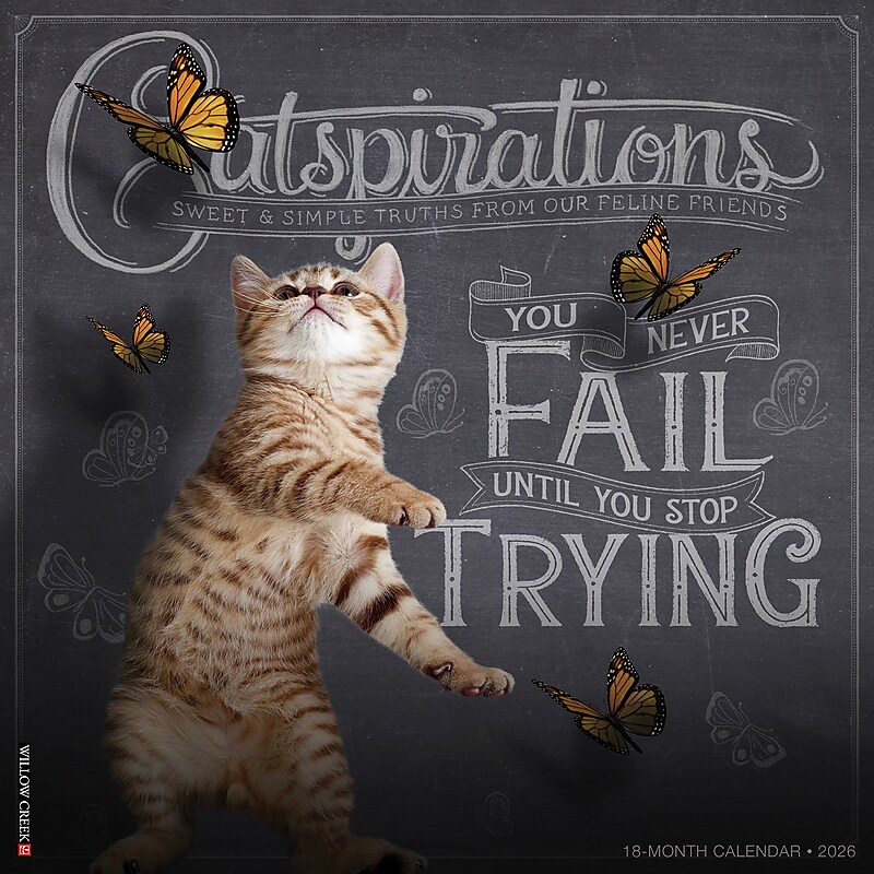 2026 Willow Creek Catspirations 12" x 12" Monthly Wall Calendar (50637) image 1