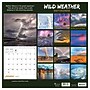 2027 TF Publishing Weather 12" x 12" Monthly Wall Calendar, Multicolored (27-1050)~#|#~D9B899F8-34F7-49D8-8580580B82E93913_sc7