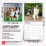 2027 BrownTrout Australian Shepherds 12" x 12" Monthly Wall Calendar (9798330712205)~#|#~D9EE17C9-A2AE-4D8D-A6175314789C72D6_sc7