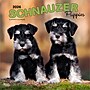 2026 BrownTrout Schnauzer Puppies 12" x 12" Monthly Wall Calendar (9798330705443)~#|#~D9F5A205-A669-46AB-A9DA57640222CFAD_sc7