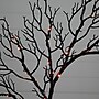 Nearly Natural 23" Pre-Lit Halloween Black Fall Wreath with 60 Orange and Purple LED Lights (W1372)~#|#~D9F6024B-250A-4136-BA4014EADA835047_sc7