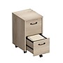 Whalen Dulzura 2-Drawer Mobile Vertical File Cabinet, Letter/Legal Size, 29.25"H x 17"W x 20"D, Warm Brown (SPUS-DZMF-LBM)~#|#~D9F9F252-2706-4A3B-BCD6F488B4D9B5BB_sc7